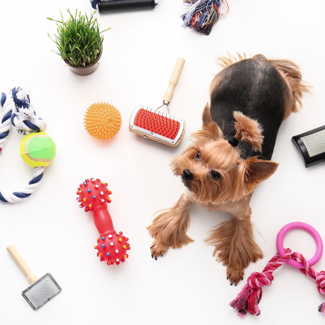 Pet Care