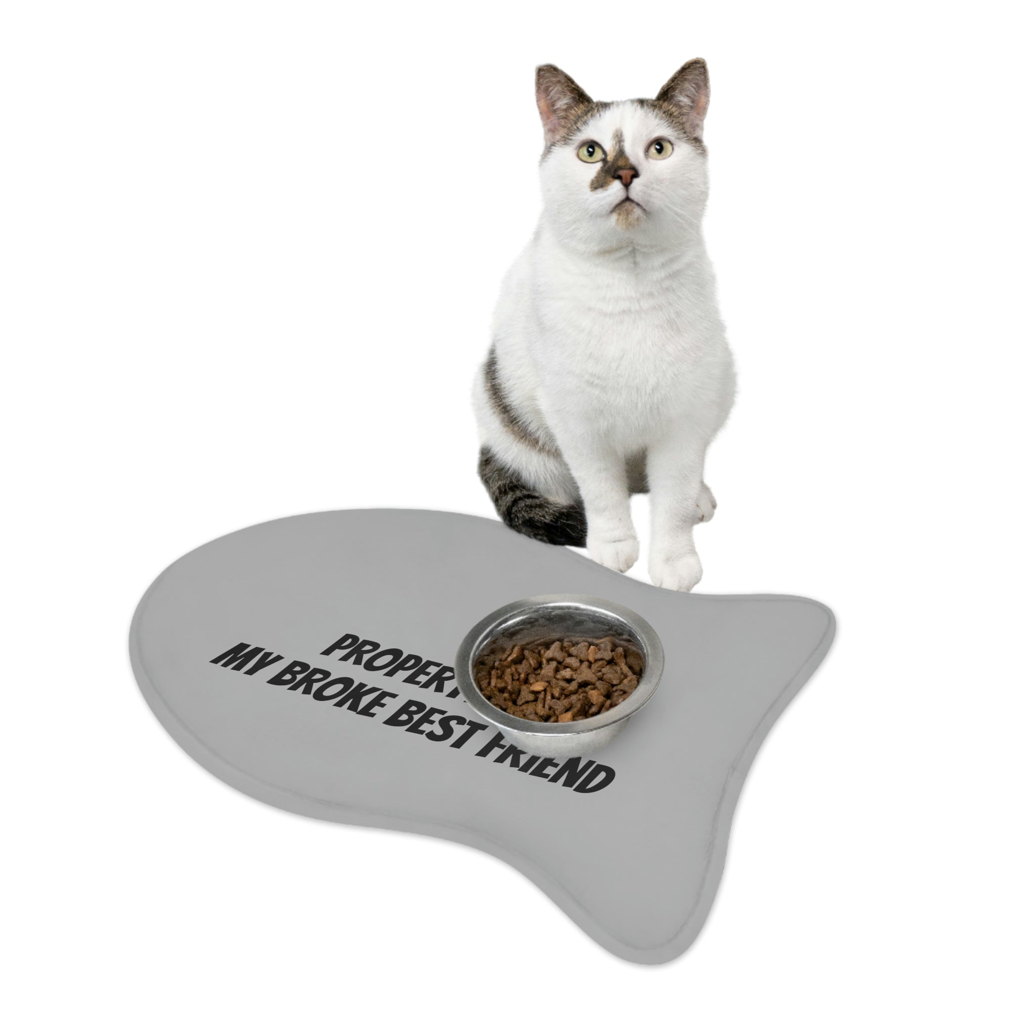 "Best Friend" Feeding Mats - Paw Print Outlet