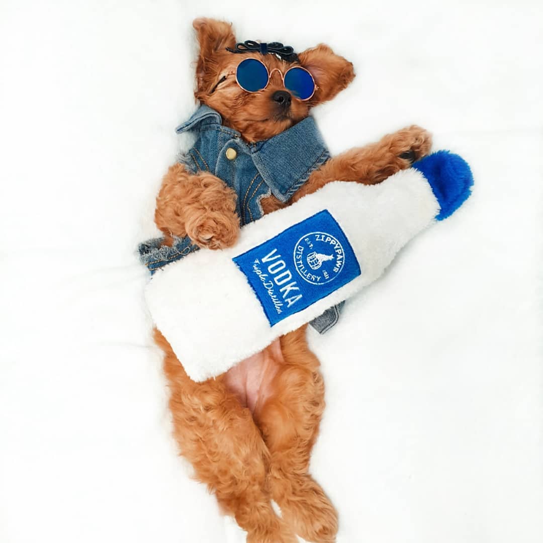 ZIPPYPAWS Crusherz Vodka - Paw Print Outlet