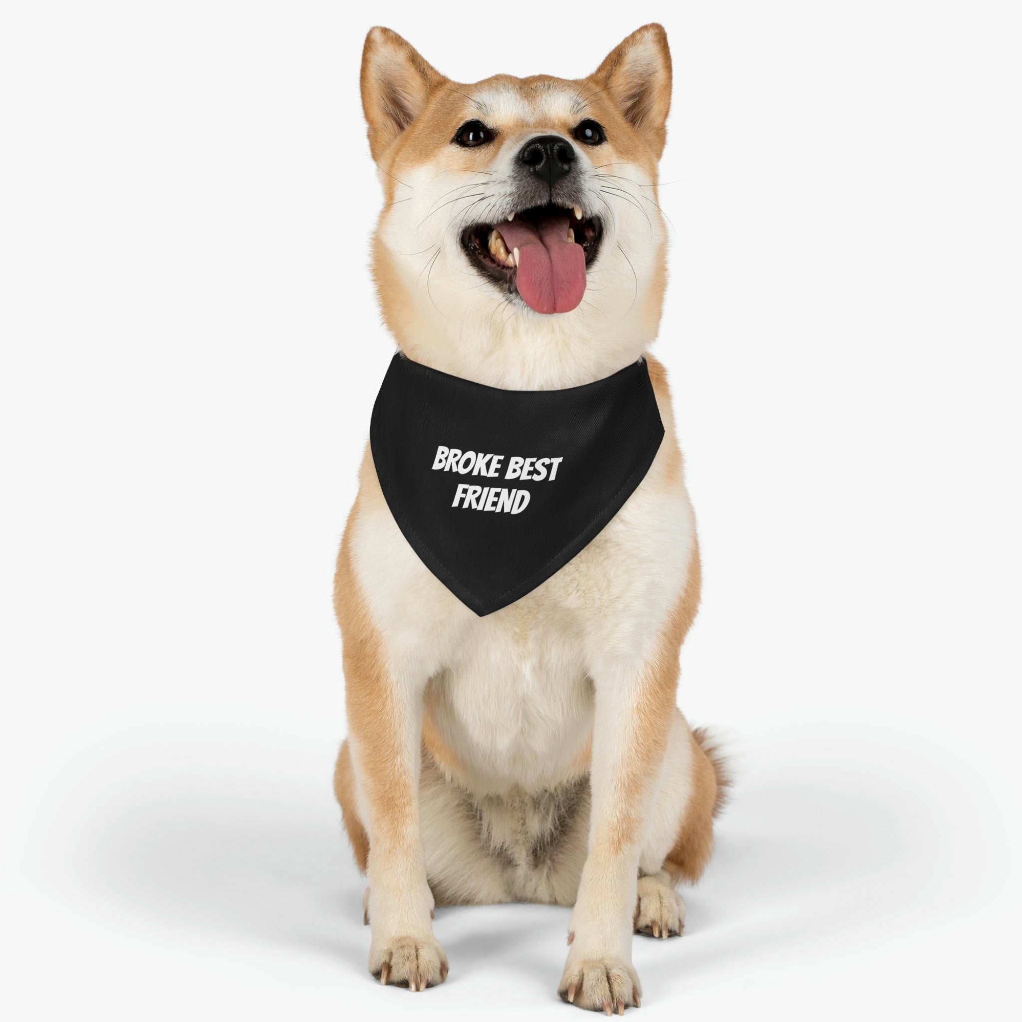"Best Friend" Pet Bandana Collar - Paw Print Outlet
