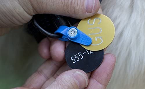FREEZE TAG Pet Tag Silencer - Paw Print Outlet