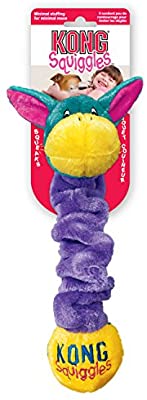 KONG Squiggles Assorted Large - Paw Print Outlet