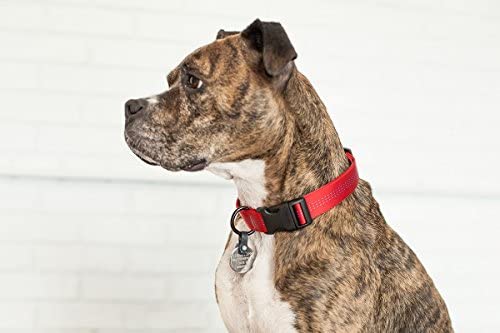 FREEZE TAG Pet Tag Silencer - Paw Print Outlet