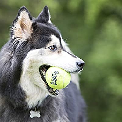 KONG Air Dog Medium Squeaker Ball W/Rope - Paw Print Outlet