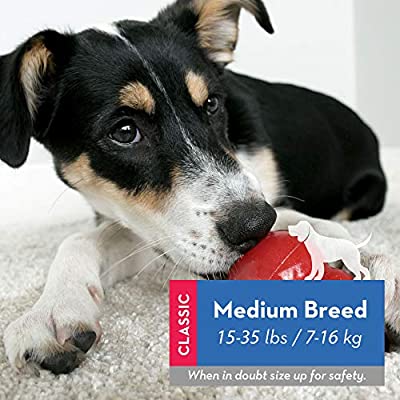 KONG CLASSIC •Medium - Paw Print Outlet