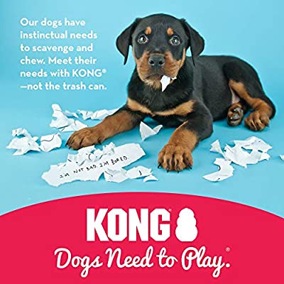 KONG Classic XXLarge - Paw Print Outlet