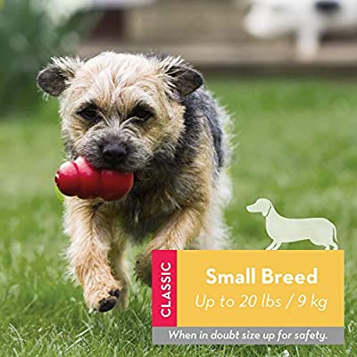 KONG CLASSIC Small - Paw Print Outlet