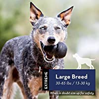 KONG EXTREME •Large - Paw Print Outlet