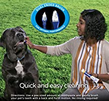 BLUESTEM Toothpaste/Toothbrush  Combo (Chicken) - Paw Print Outlet