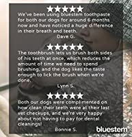 BLUESTEM Toothpaste/Toothbrush  Combo (Chicken) - Paw Print Outlet