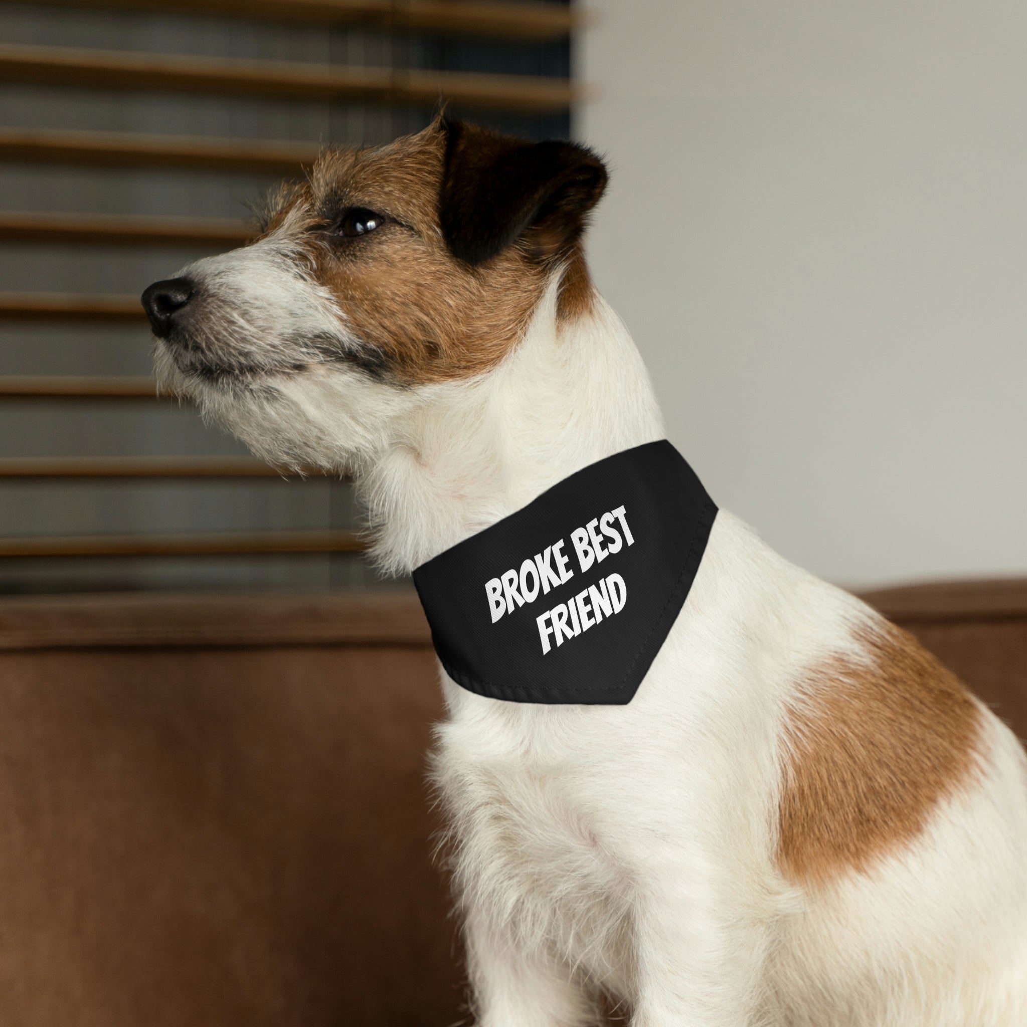 "Best Friend" Pet Bandana Collar - Paw Print Outlet