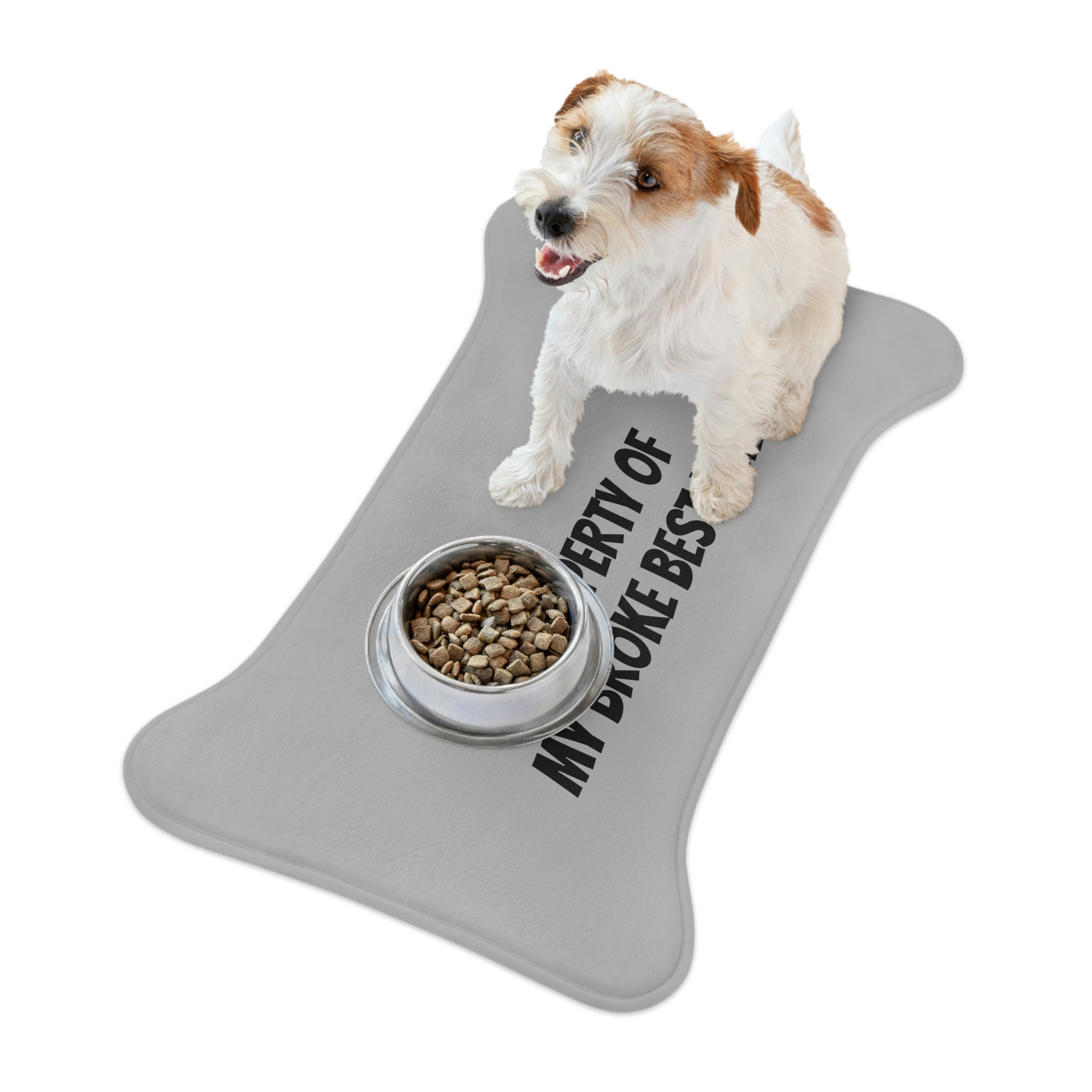 "Best Friend" Feeding Mats - Paw Print Outlet