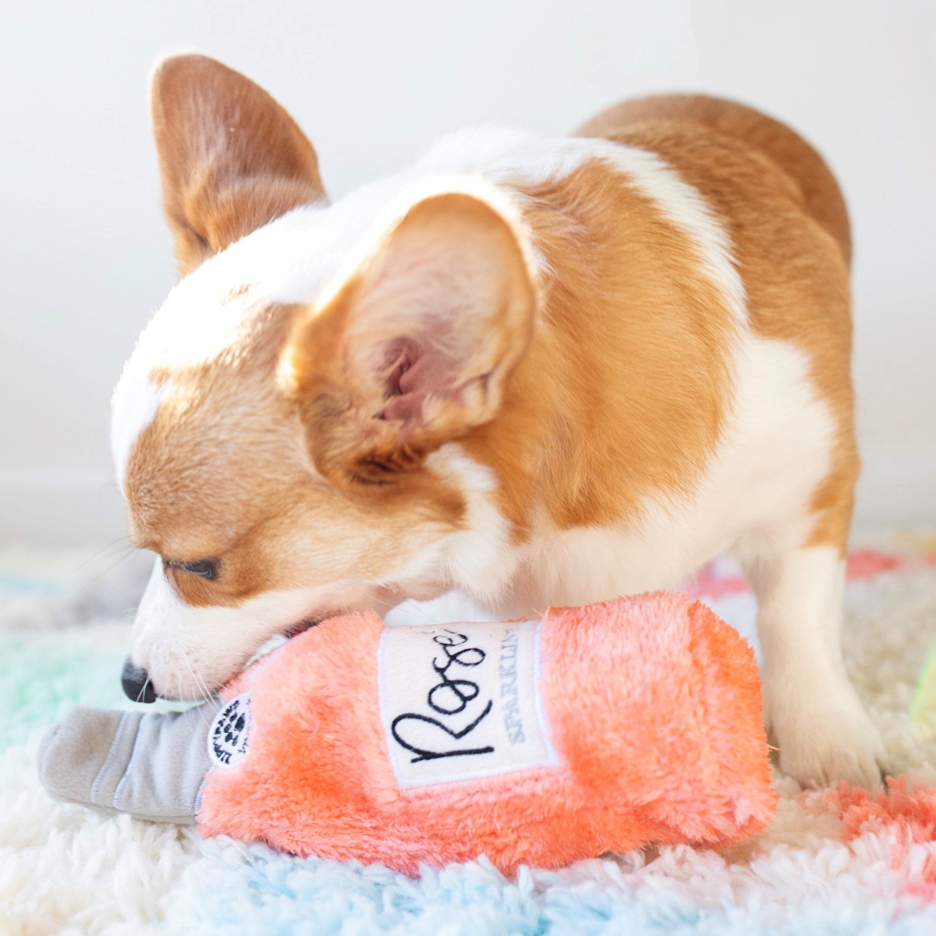 ZIPPYPAWS Crusherz Rose` - Paw Print Outlet