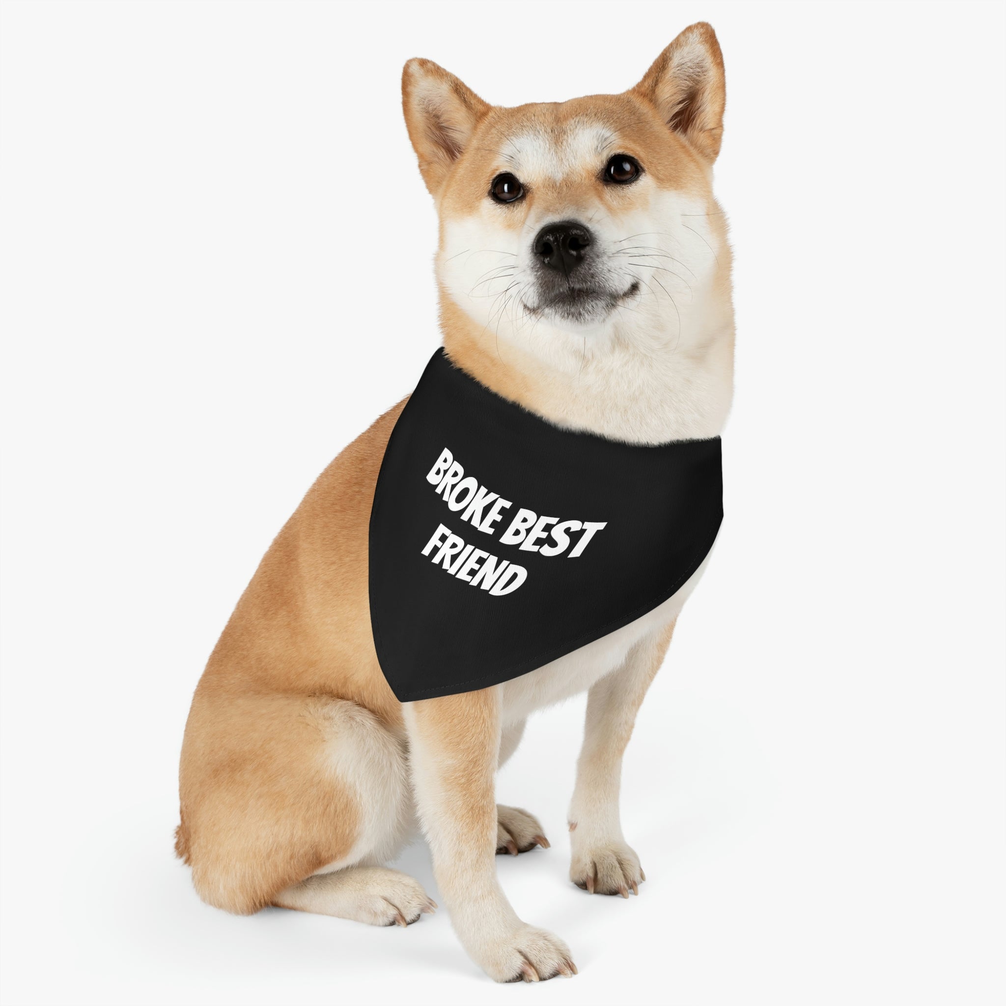 "Best Friend" Pet Bandana Collar - Paw Print Outlet
