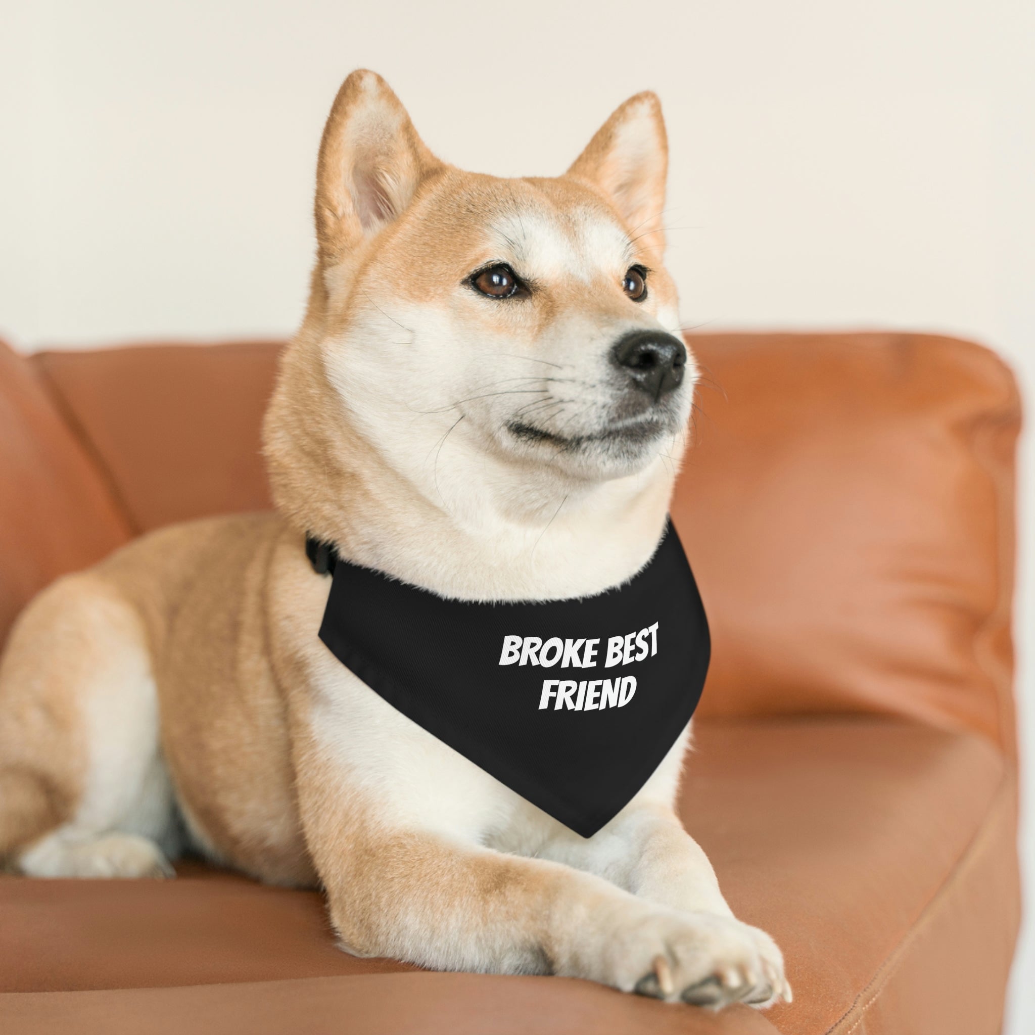 "Best Friend" Pet Bandana Collar - Paw Print Outlet