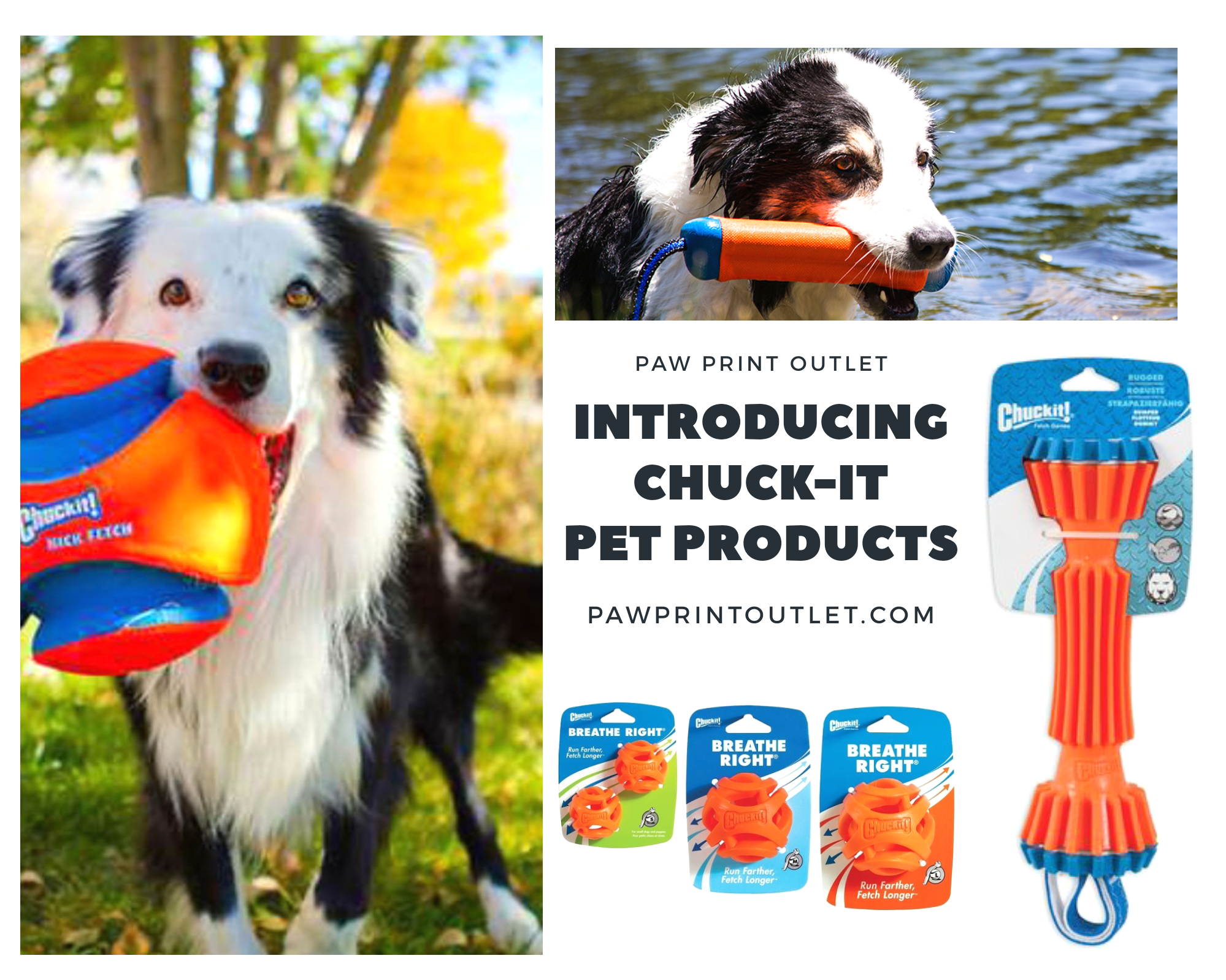 PETMATE Chuckit! Ultra Fetch Stick - Paw Print Outlet