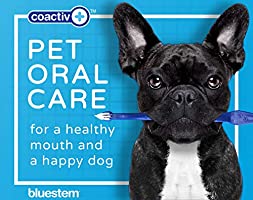 BLUESTEM Toothpaste/Toothbrush  Combo (Chicken) - Paw Print Outlet
