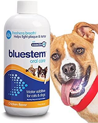 BLUESTEM Water Additive Chicken - Paw Print Outlet