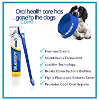 BLUESTEM Toothpaste/Toothbrush  Combo (Chicken) - Paw Print Outlet