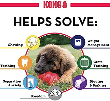 KONG Classic XXLarge - Paw Print Outlet