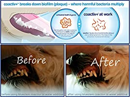 BLUESTEM Toothpaste/Toothbrush  Combo (Chicken) - Paw Print Outlet