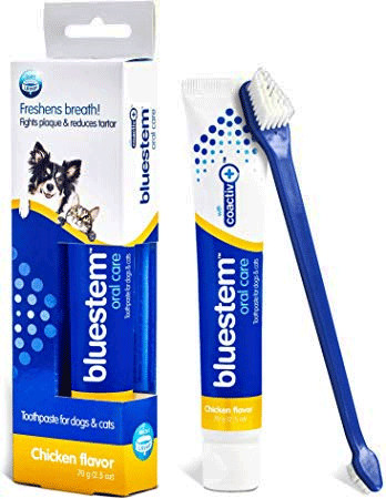 BLUESTEM Toothpaste/Toothbrush  Combo (Chicken) - Paw Print Outlet